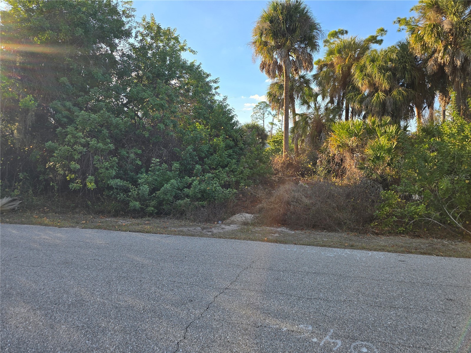 Athena Terrace North Port FL 34286 N6142994 image2