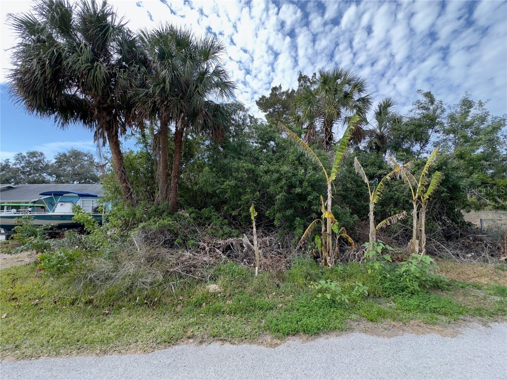 Atlantic Avenue Hudson FL 34667 W7872269 image1