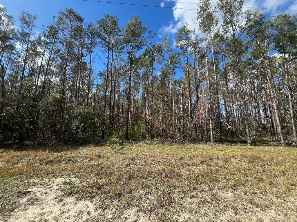 Atlantic Street Perry FL 32348 OK224596 image1