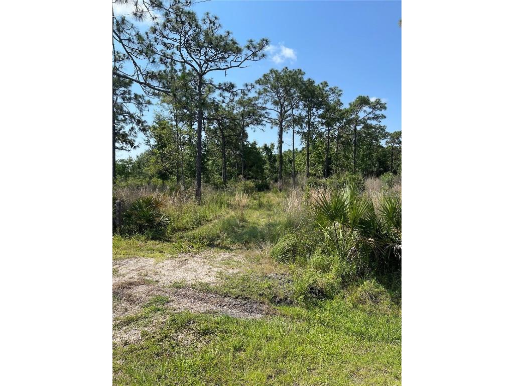 Atlas Drive Saint Cloud FL 34773 G5055645 image1