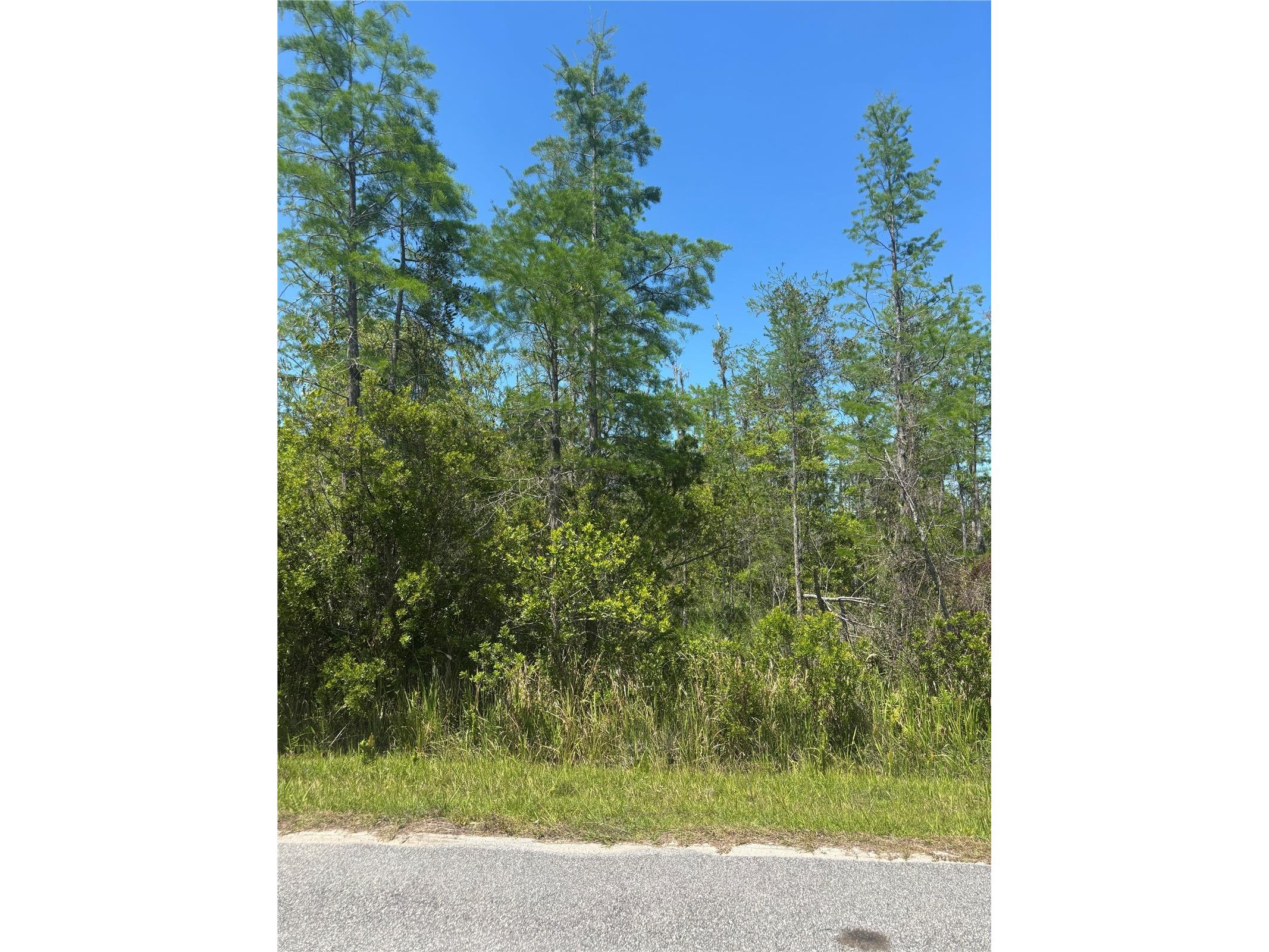 Atlas Drive Saint Cloud FL 34773 S5148037 image1