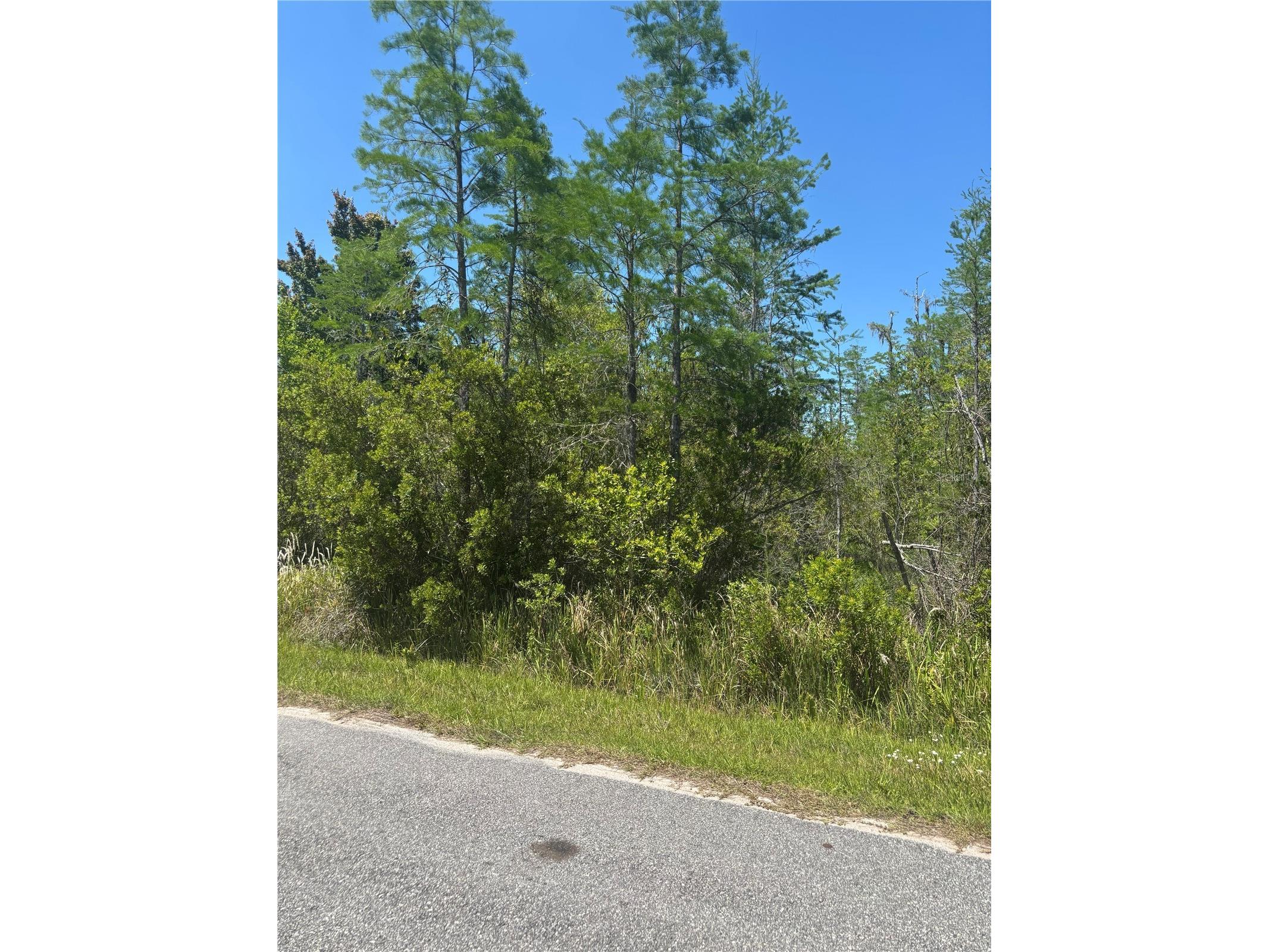 Atlas Drive Saint Cloud FL 34773 S5148037 image10