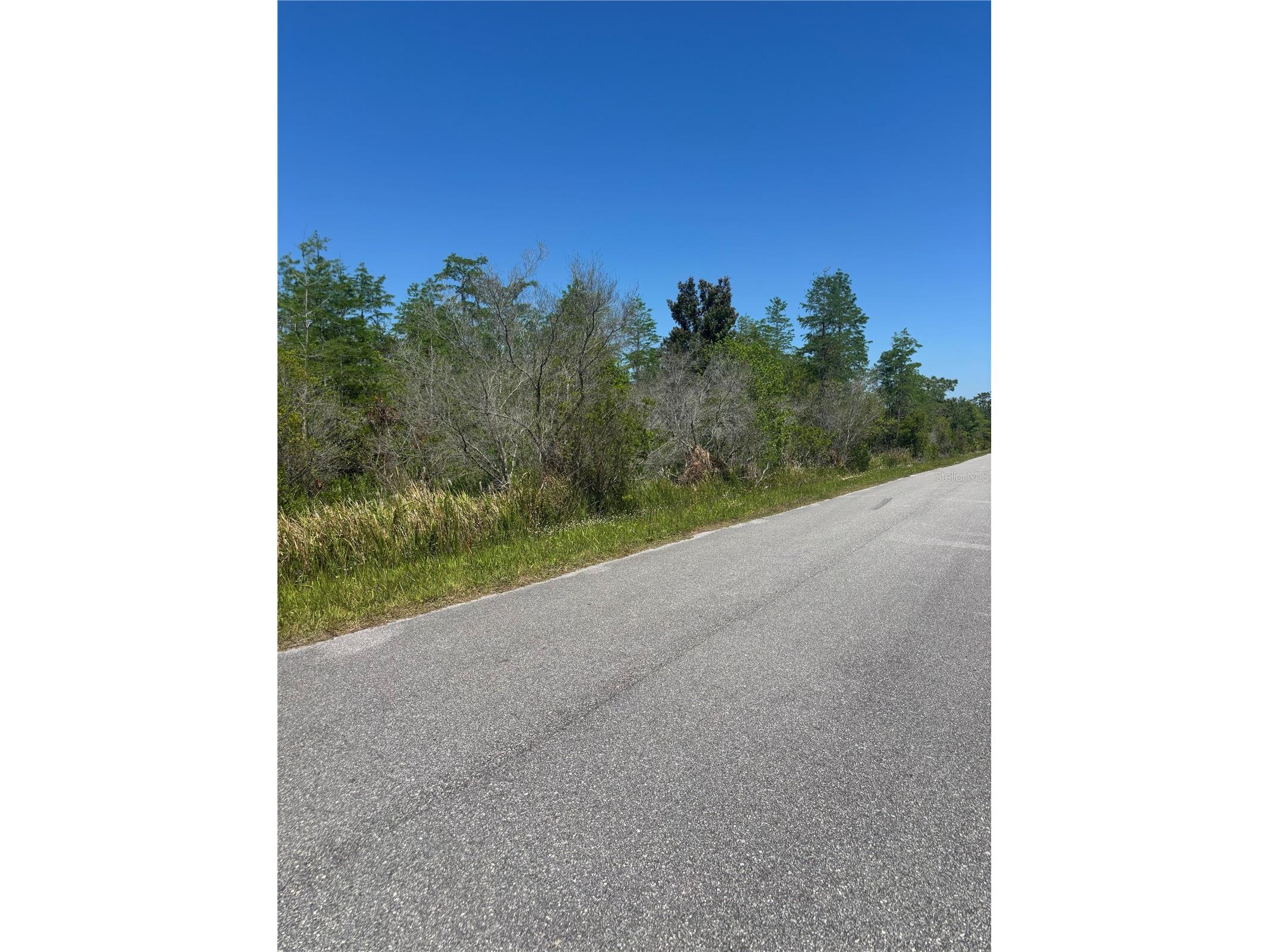 Atlas Drive Saint Cloud FL 34773 S5148037 image11