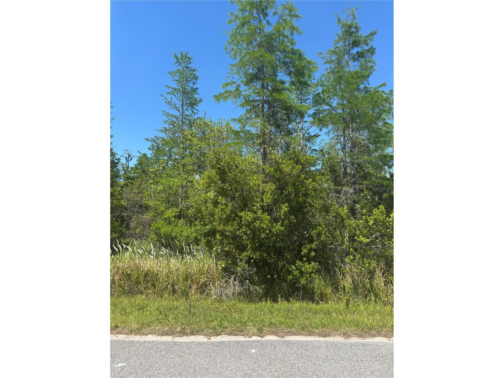 Atlas Drive Saint Cloud FL 34773 S5148037 image2