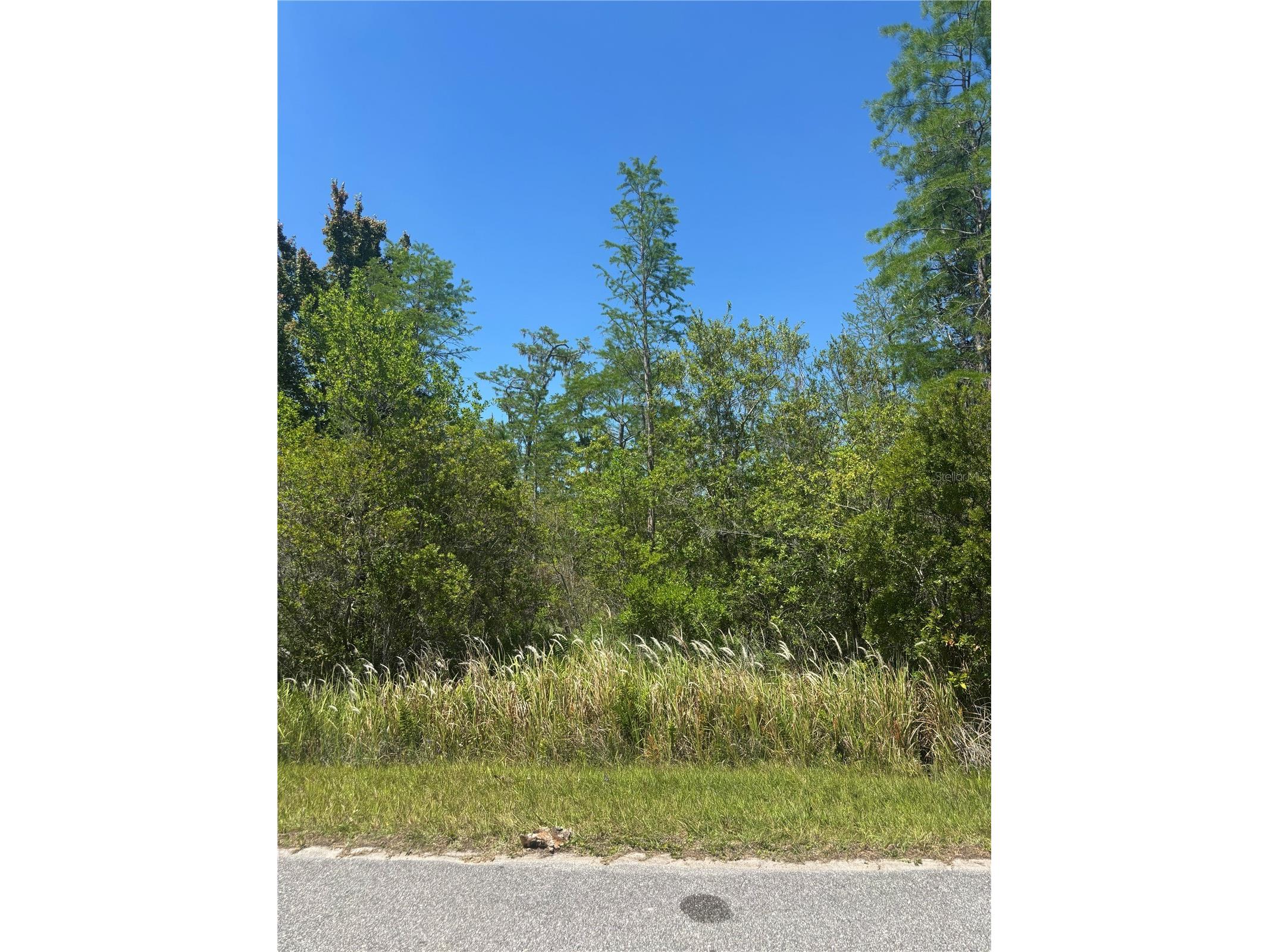 Atlas Drive Saint Cloud FL 34773 S5148037 image3