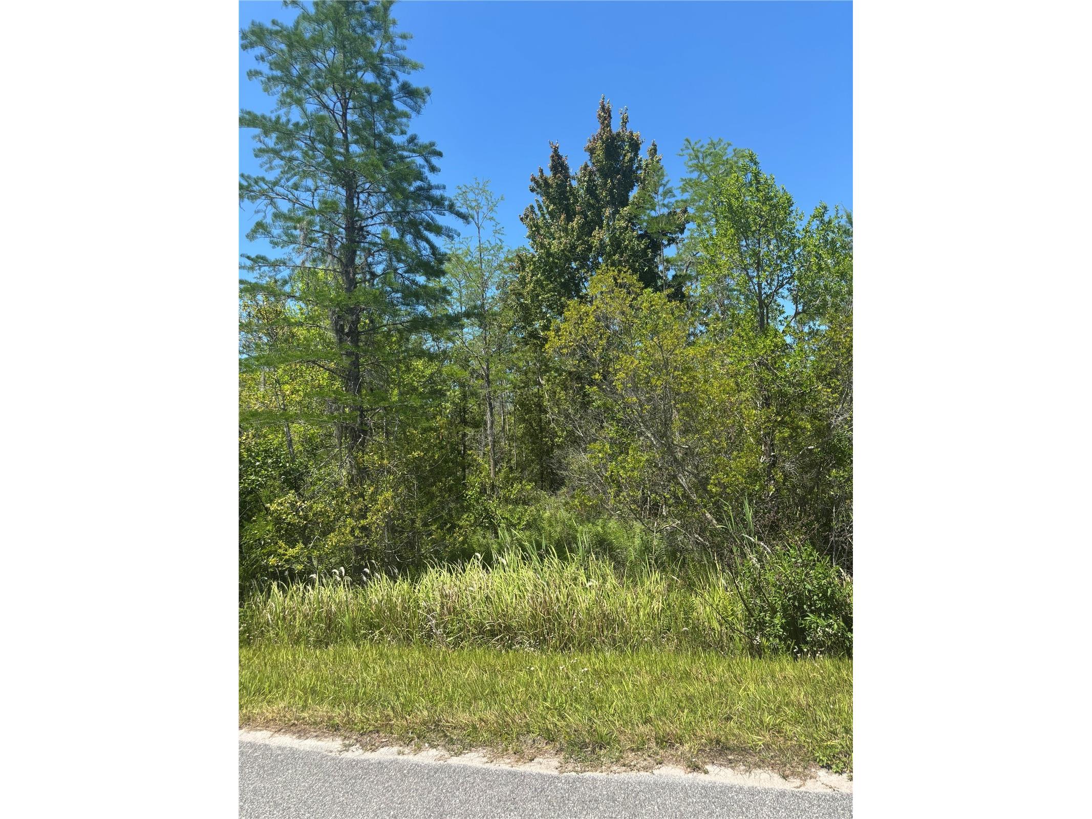 Atlas Drive Saint Cloud FL 34773 S5148037 image4