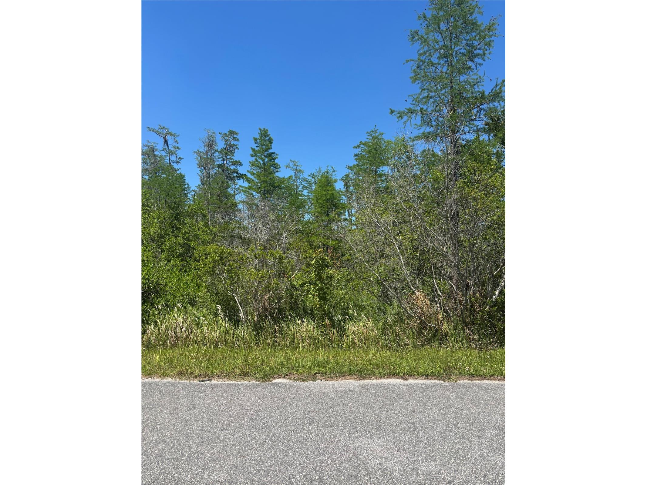 Atlas Drive Saint Cloud FL 34773 S5148037 image5