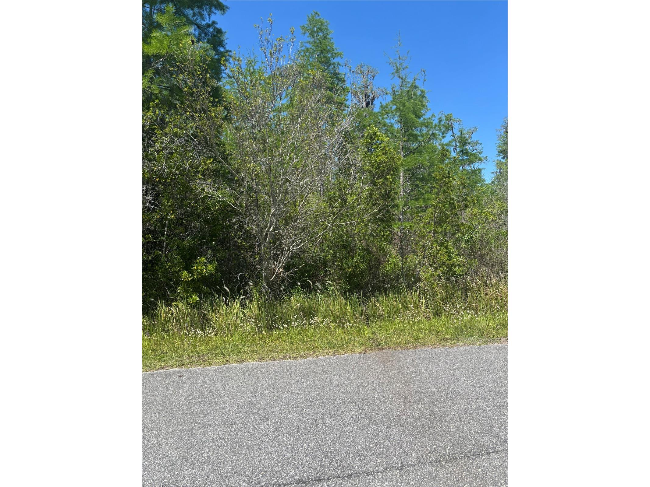 Atlas Drive Saint Cloud FL 34773 S5148037 image6