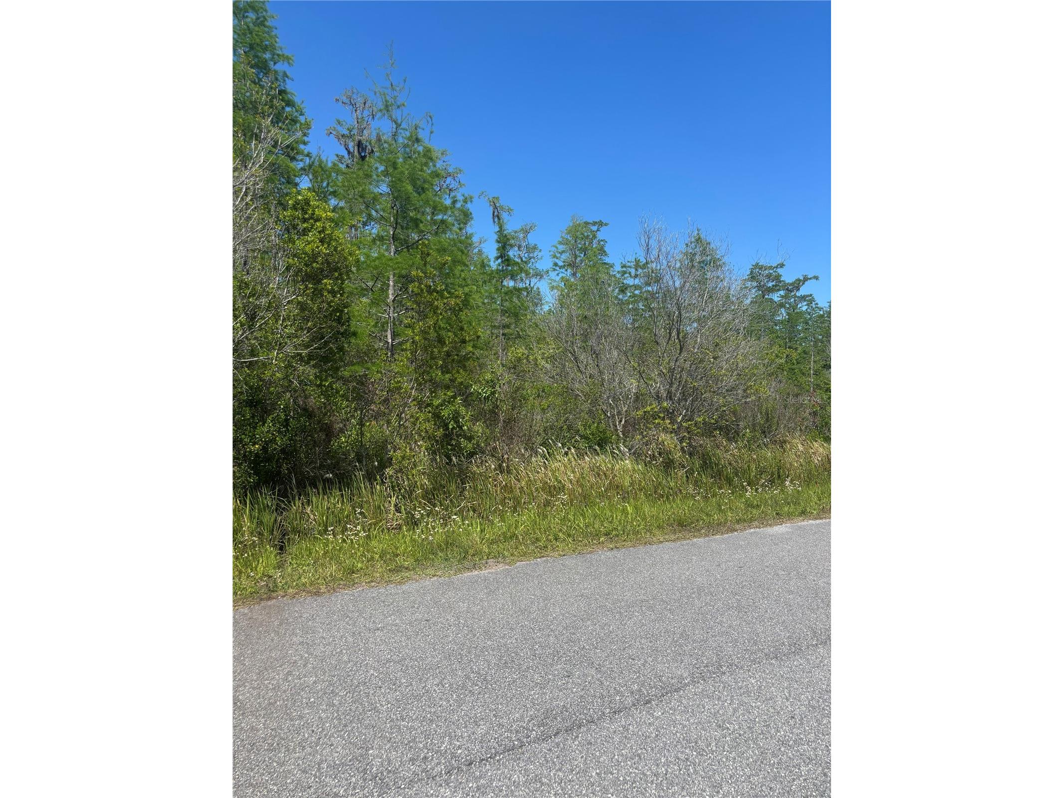 Atlas Drive Saint Cloud FL 34773 S5148037 image7
