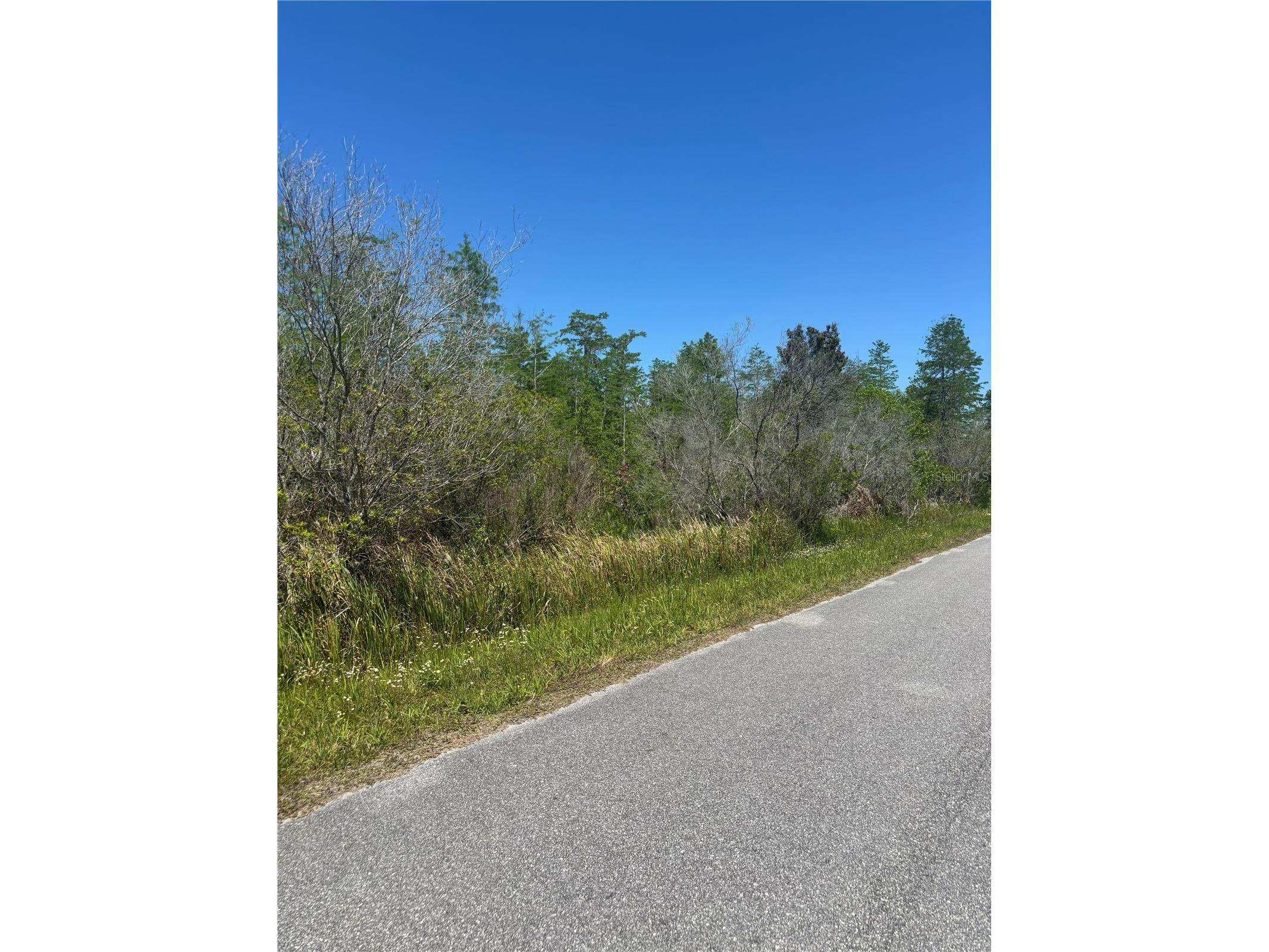 Atlas Drive Saint Cloud FL 34773 S5148037 image9