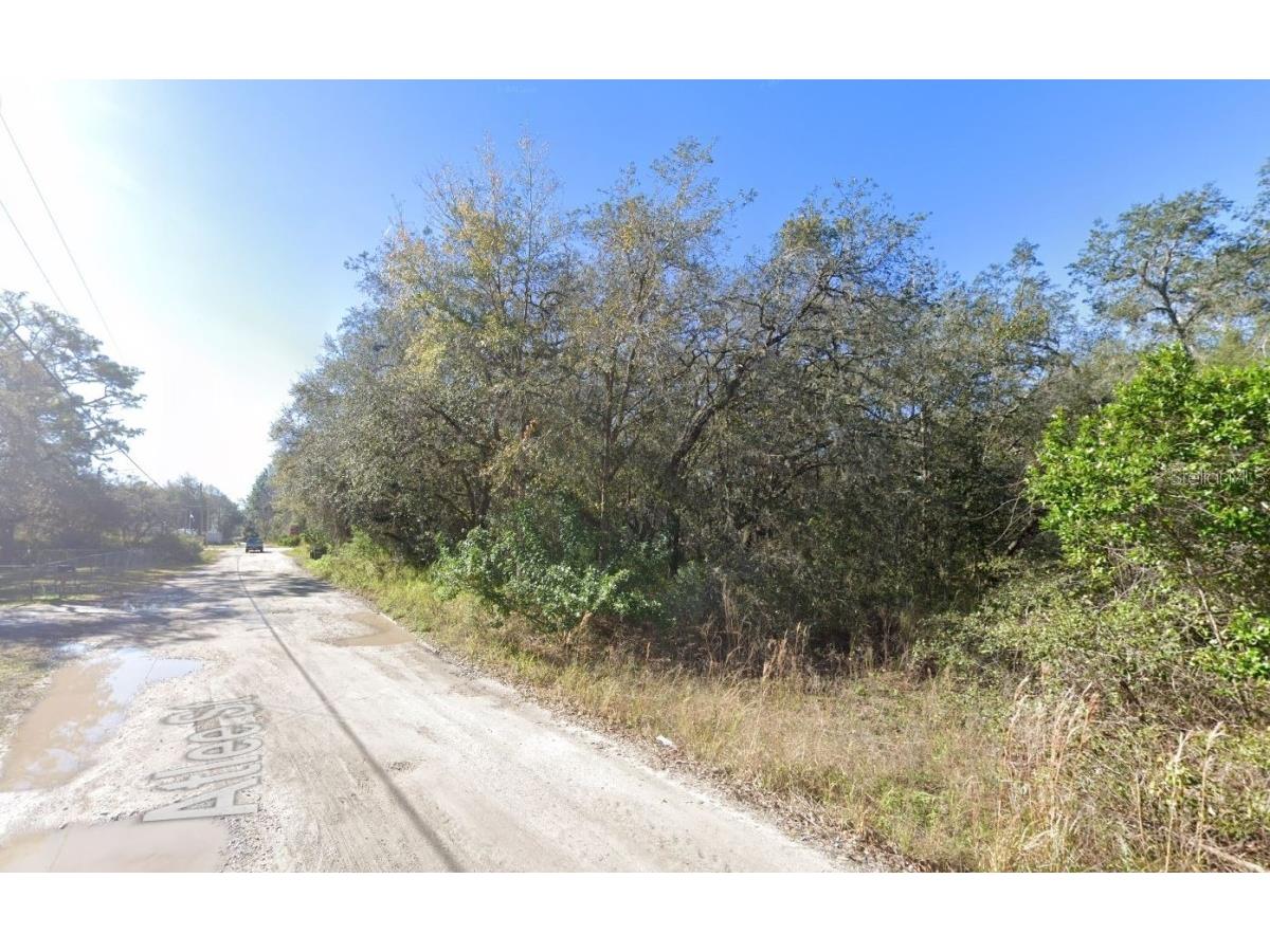 Atlee New Port Richey FL 34654 TB8447009 image1