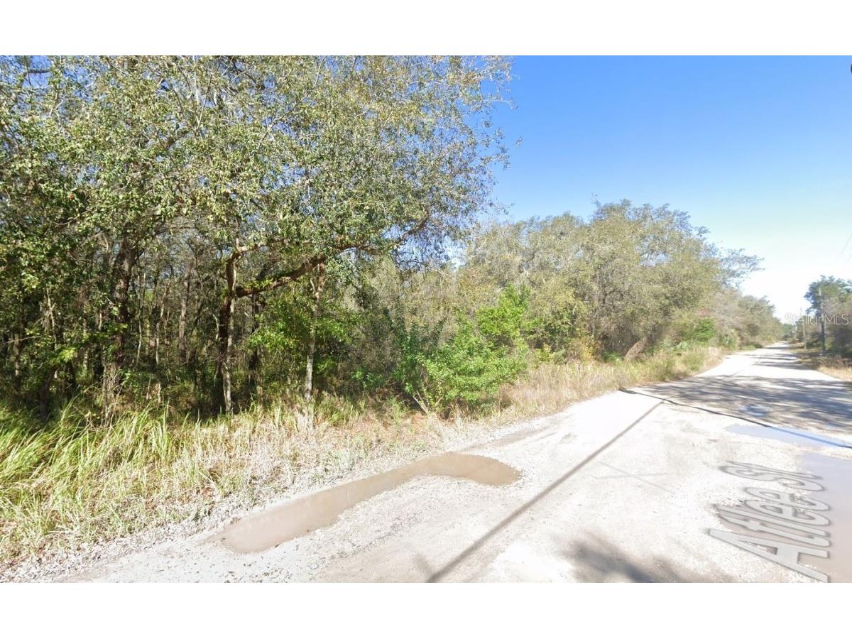 Atlee New Port Richey FL 34654 TB8447009 image2