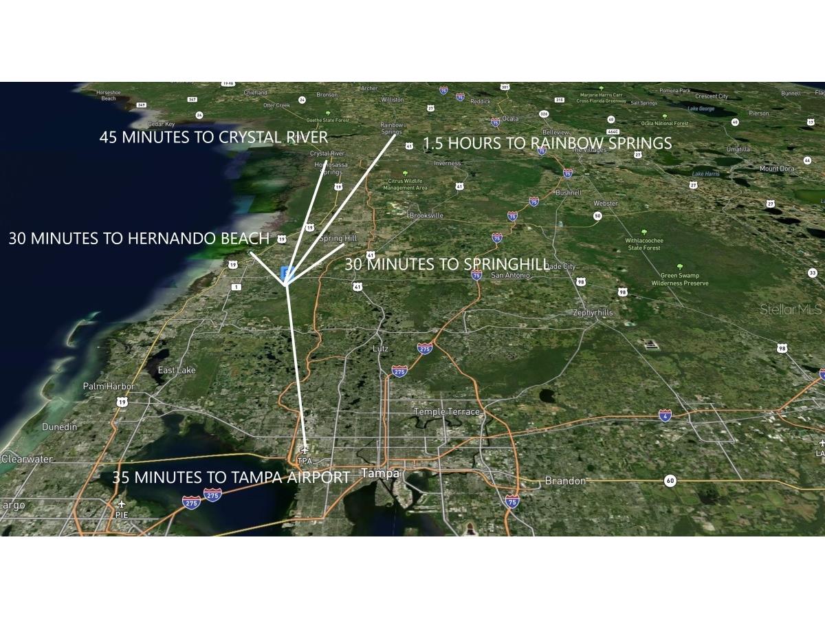 Atlee New Port Richey FL 34654 TB8447009 image3