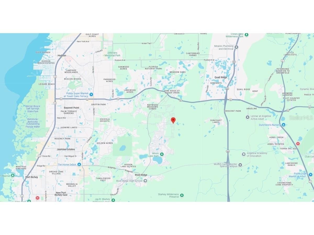 Atlee New Port Richey FL 34654 TB8447009 image4