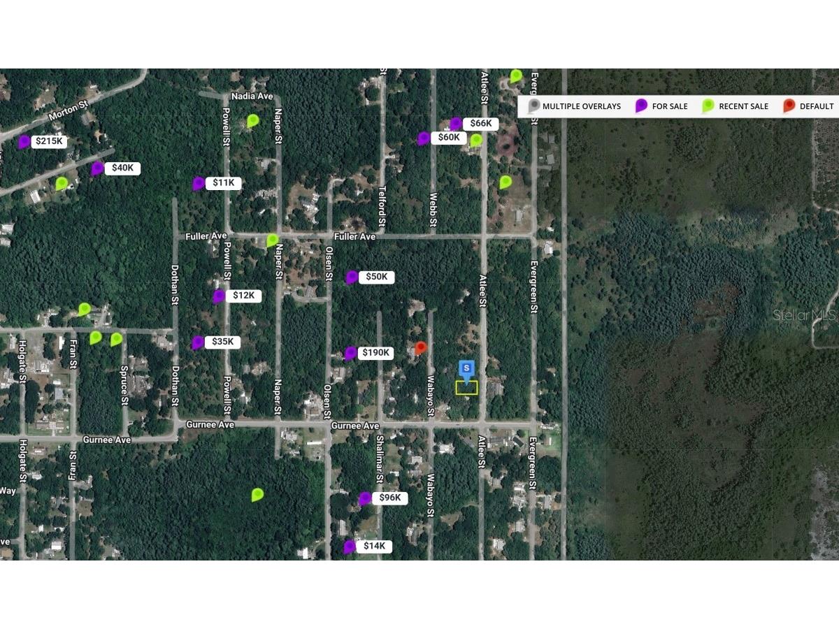 Atlee New Port Richey FL 34654 TB8447009 image5