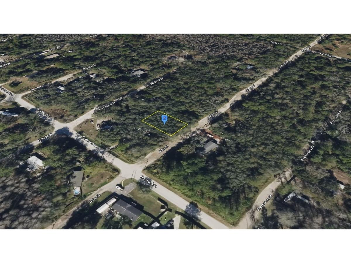 Atlee New Port Richey FL 34654 TB8447009 image6