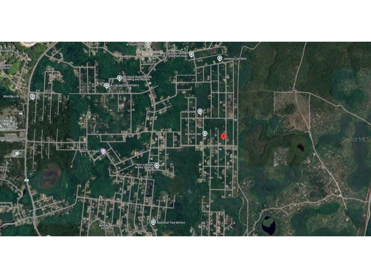 Atlee New Port Richey FL 34654 TB8447009 image7