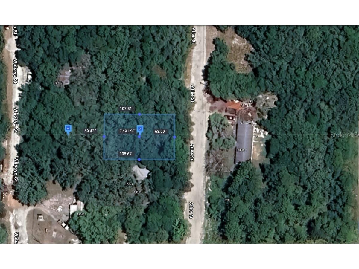 Atlee New Port Richey FL 34654 TB8447009 image9