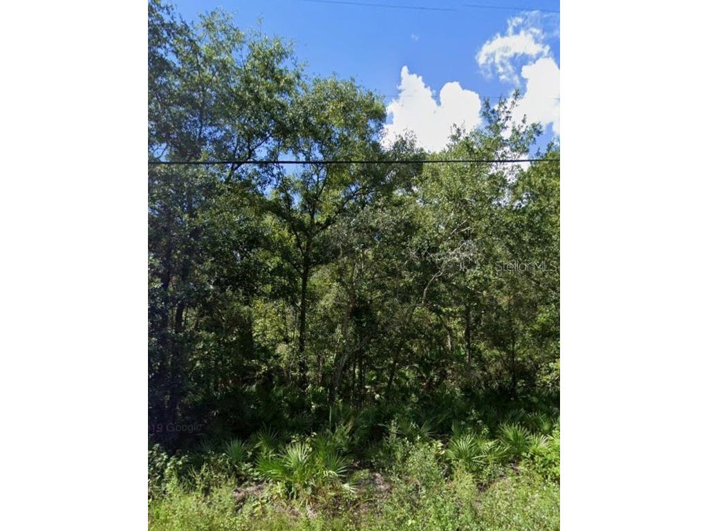 Atlee Street New Port Richey FL 34654 W7878213 image1