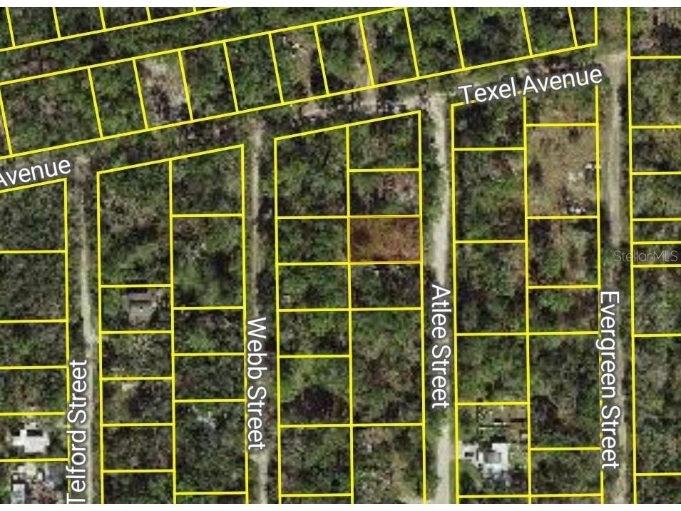 Atlee Street New Port Richey FL 34654 W7878213 image2