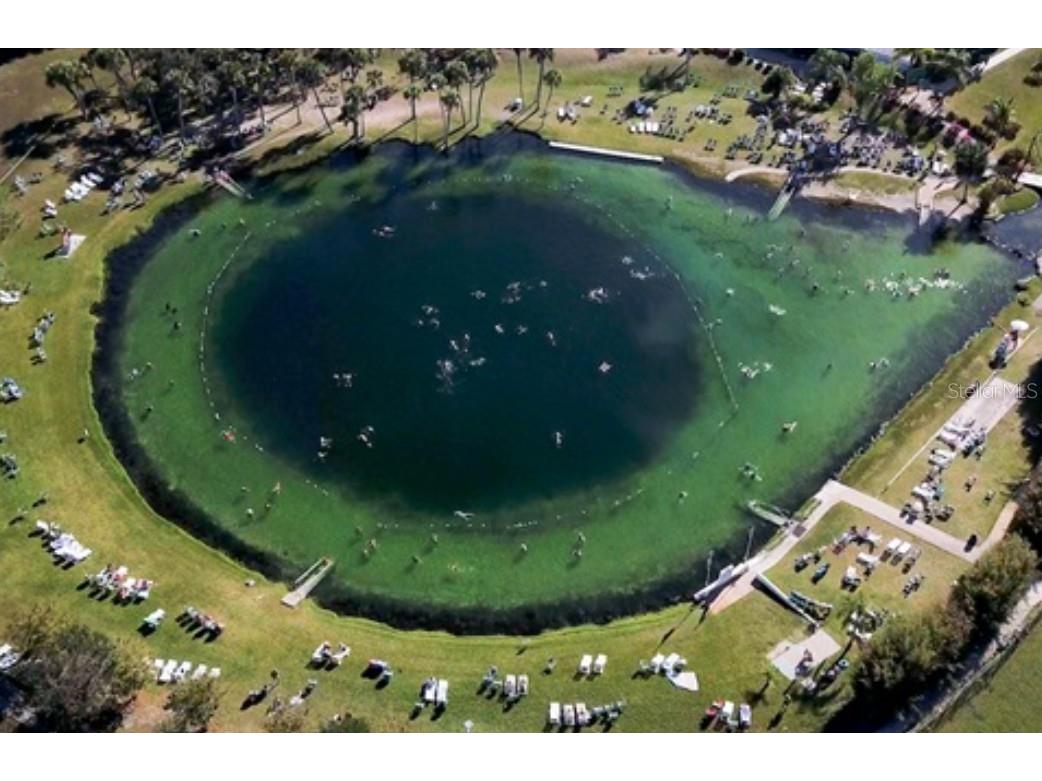 Attalla Avenue North Port FL 34287 C7518502 image4