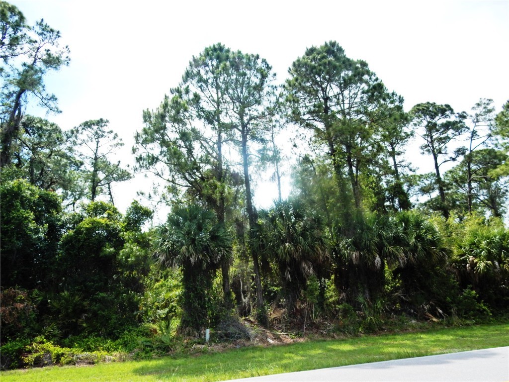 Atwater Drive North Port FL 34288 C7461060 image1