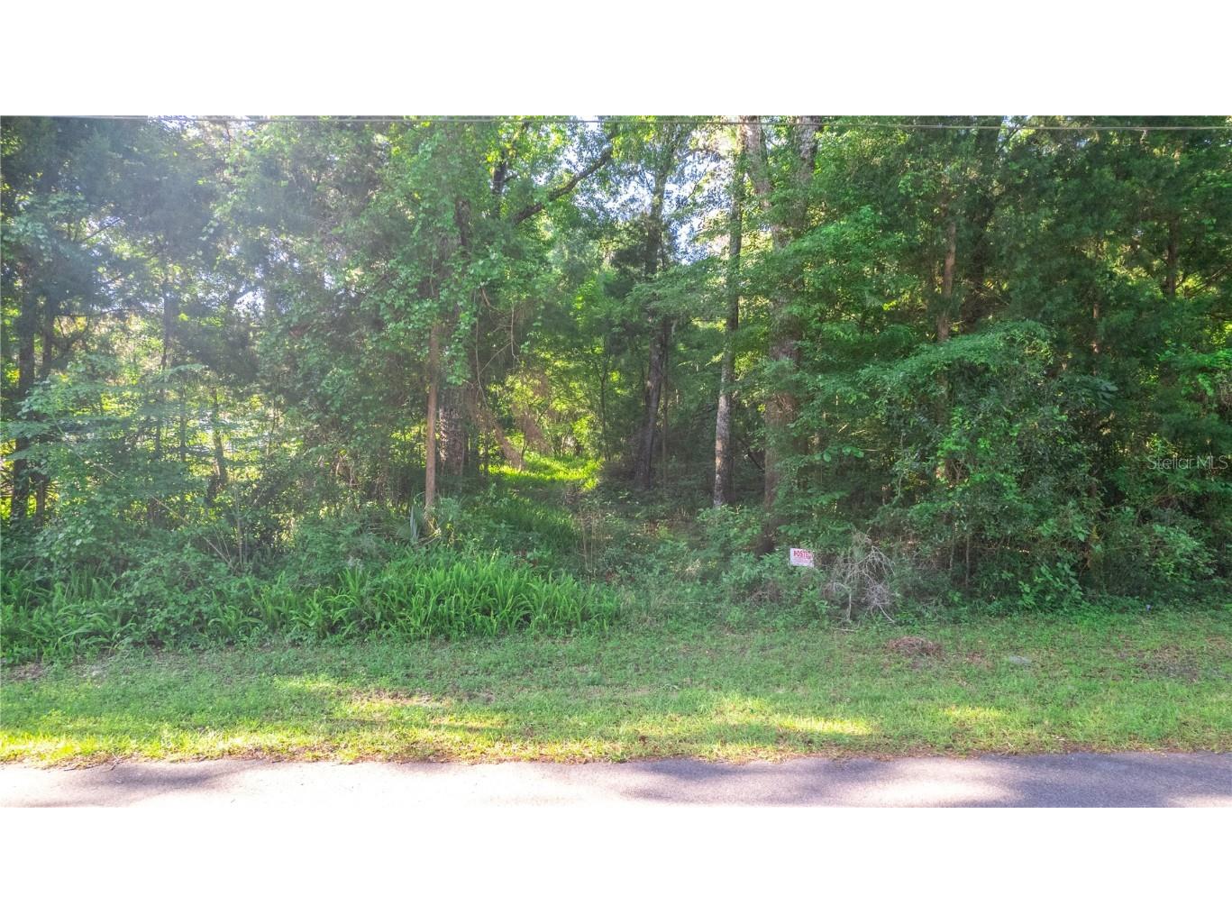 Audubon Drive Brooksville FL 34601 W7863542 image1