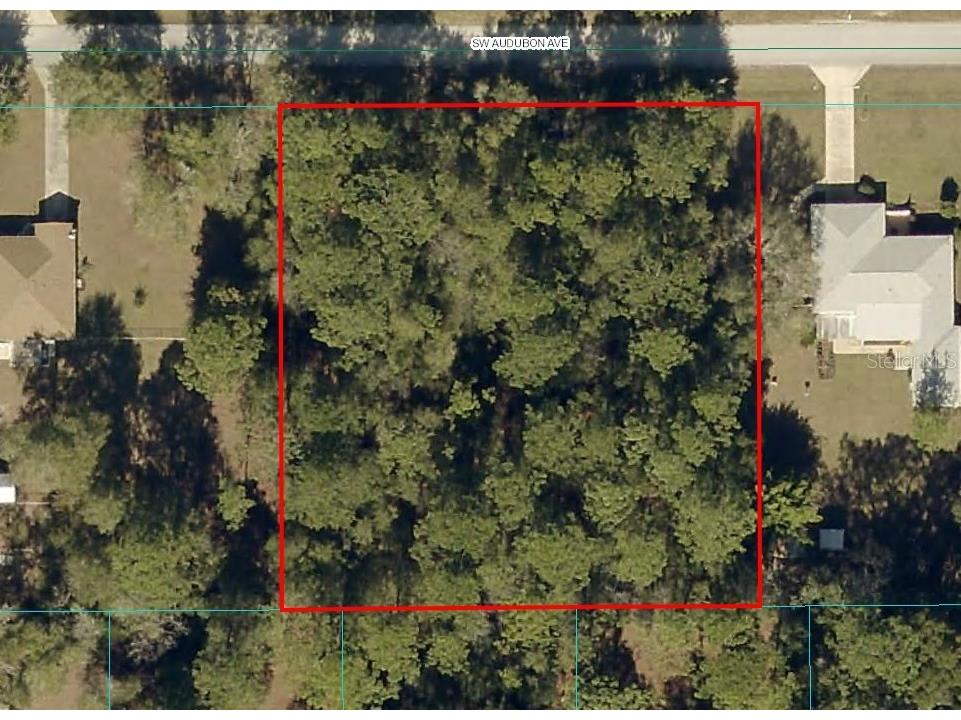 Audubon Dunnellon FL 34431 OM699315 image1
