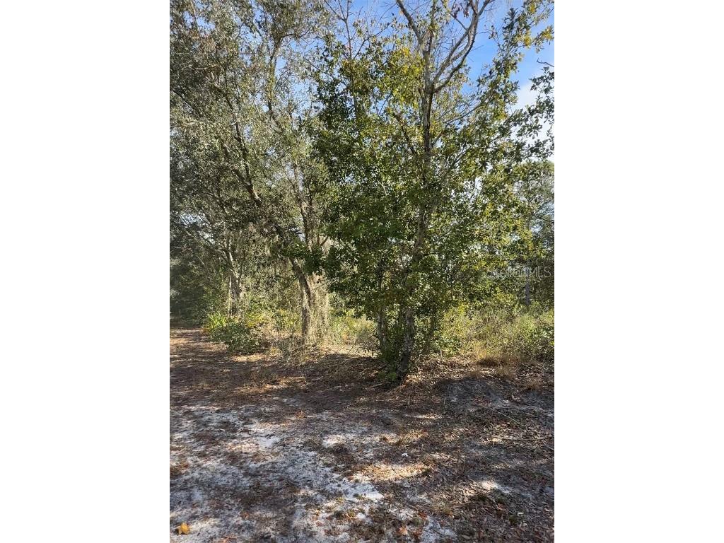 Audubon Road Poinciana FL 34759 L4957702 image1