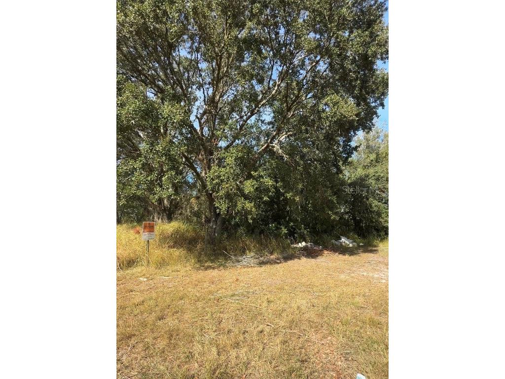 Audubon Road Poinciana FL 34759 L4957702 image2