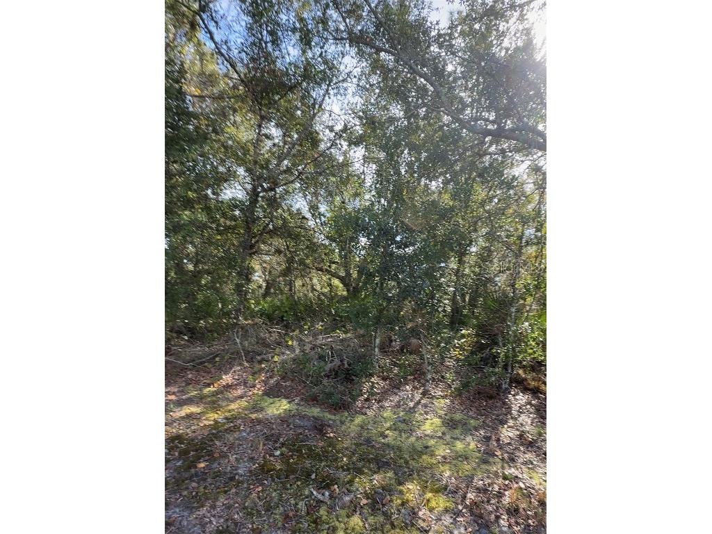 Audubon Road Poinciana FL 34759 L4957702 image3