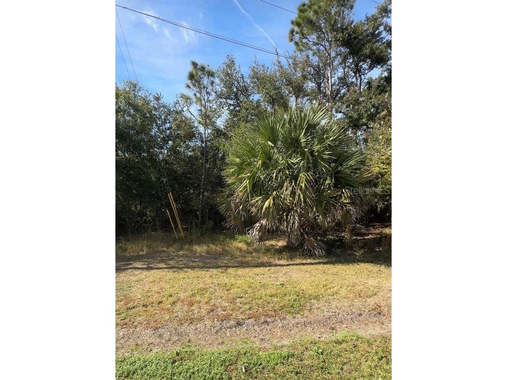 Audubon Road Poinciana FL 34759 L4957702 image4