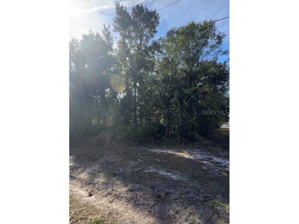 Audubon Road Poinciana FL 34759 L4957702 image5