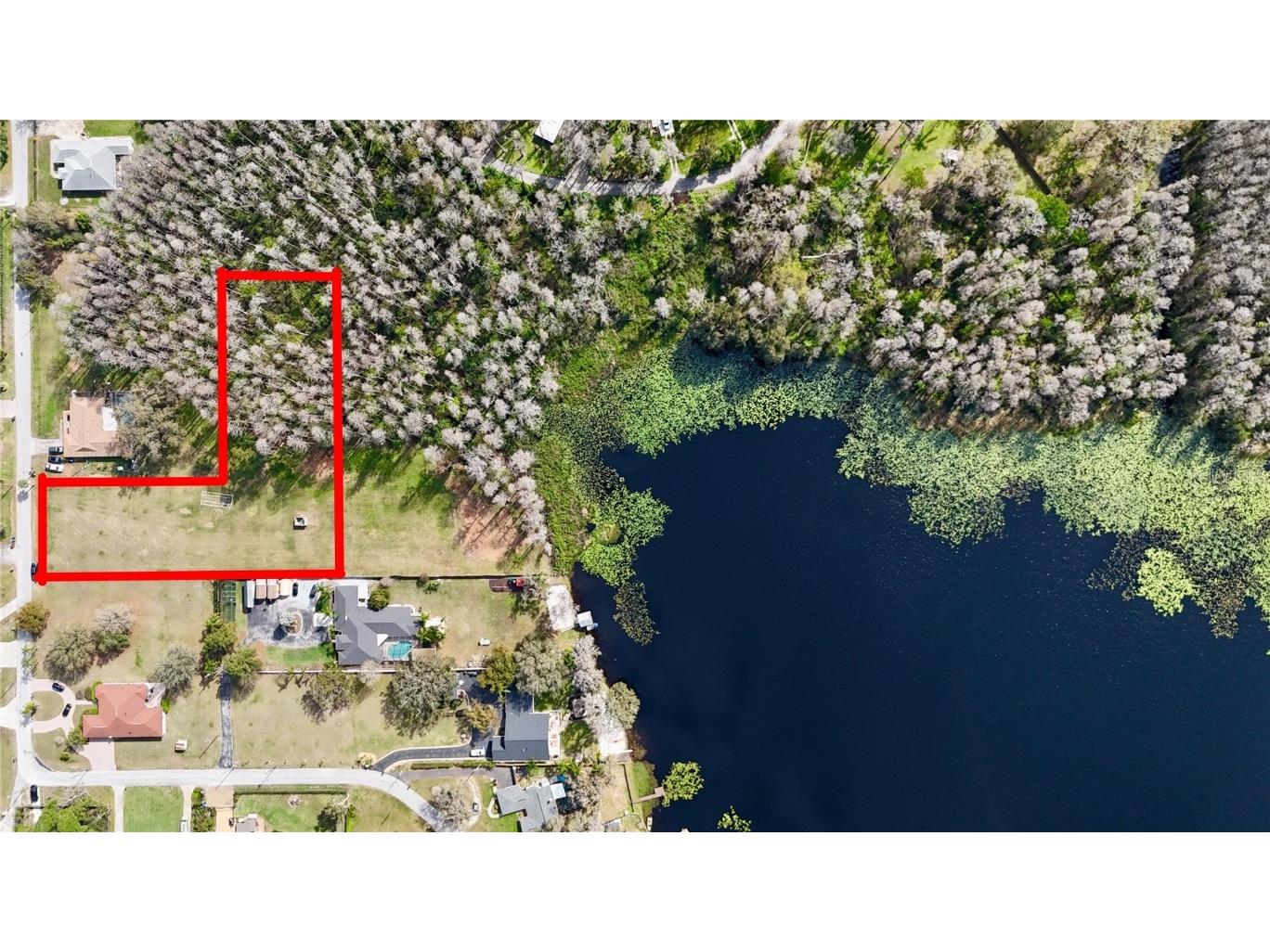 Auralee Acres Lot 2 Blount Road Lutz FL 33558 TB8381259 image1