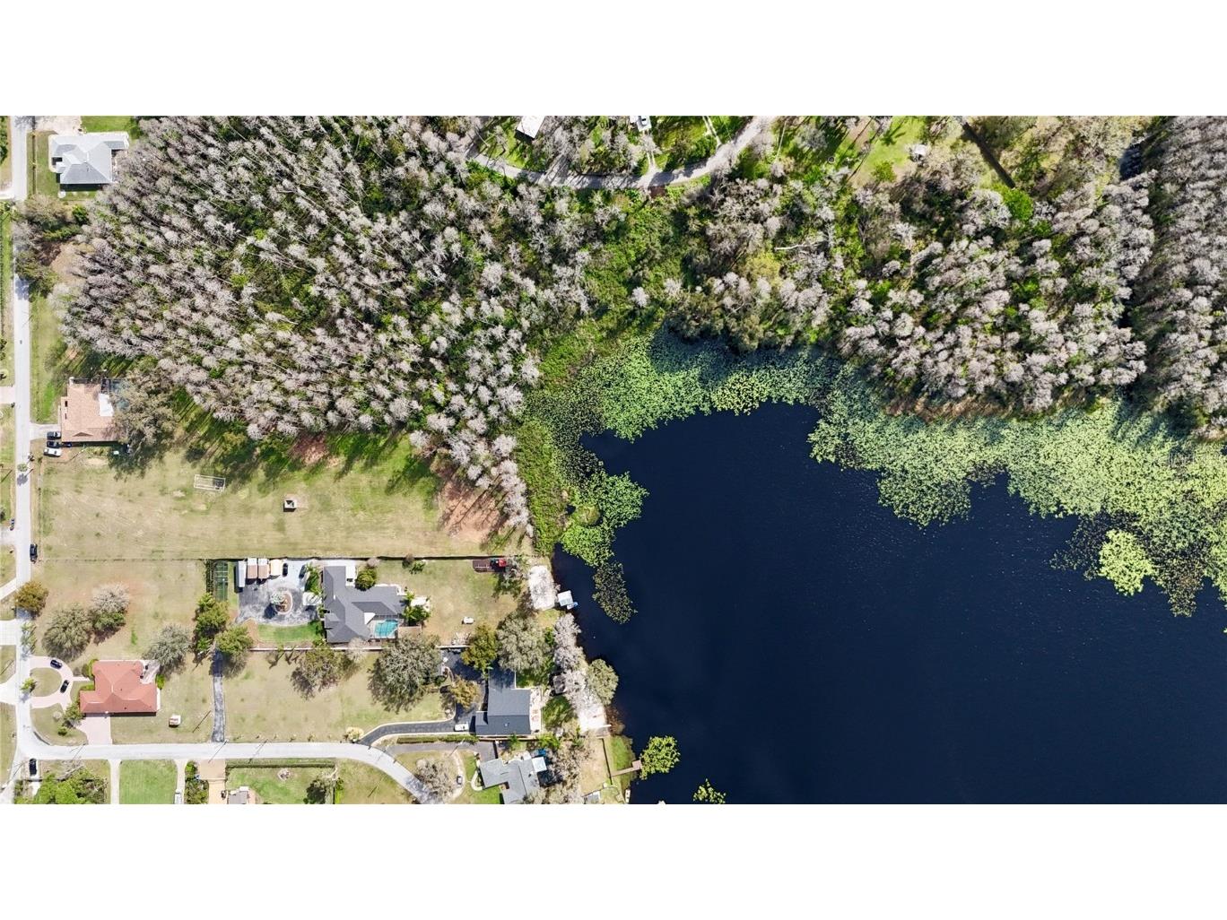 Auralee Acres Lot 2 Blount Road Lutz FL 33558 TB8381259 image5