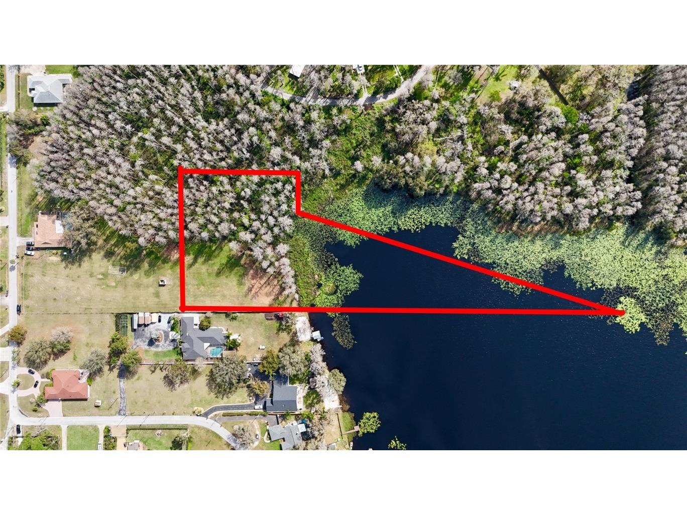 Auralee Acres Lot 3 Blount Road Lutz FL 33558 - LAKE VIRGINIA TB8381575 image1