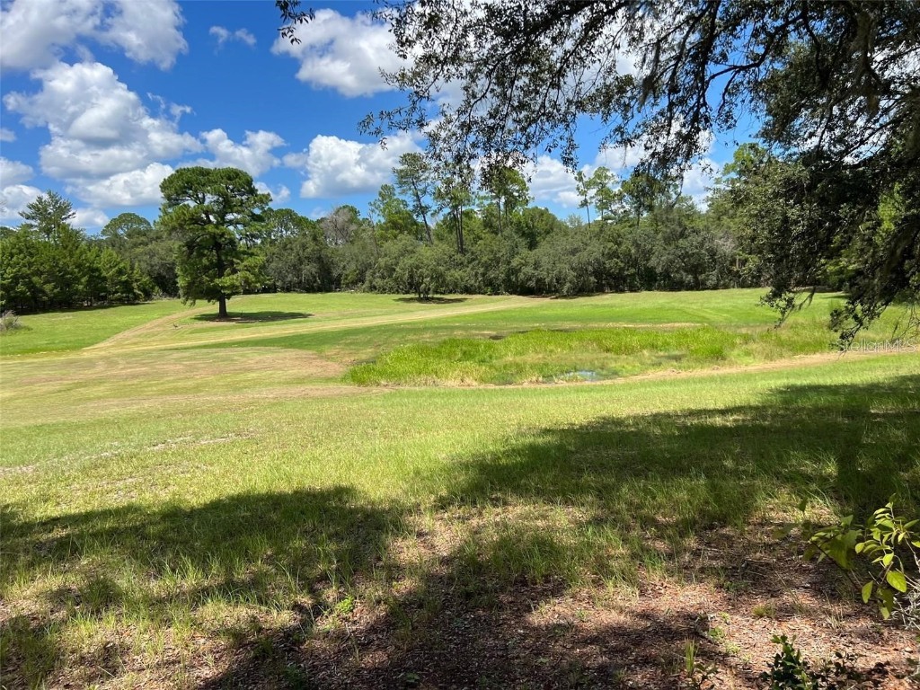 Autumn Mist Road Eustis FL 32736 V4940728 image2