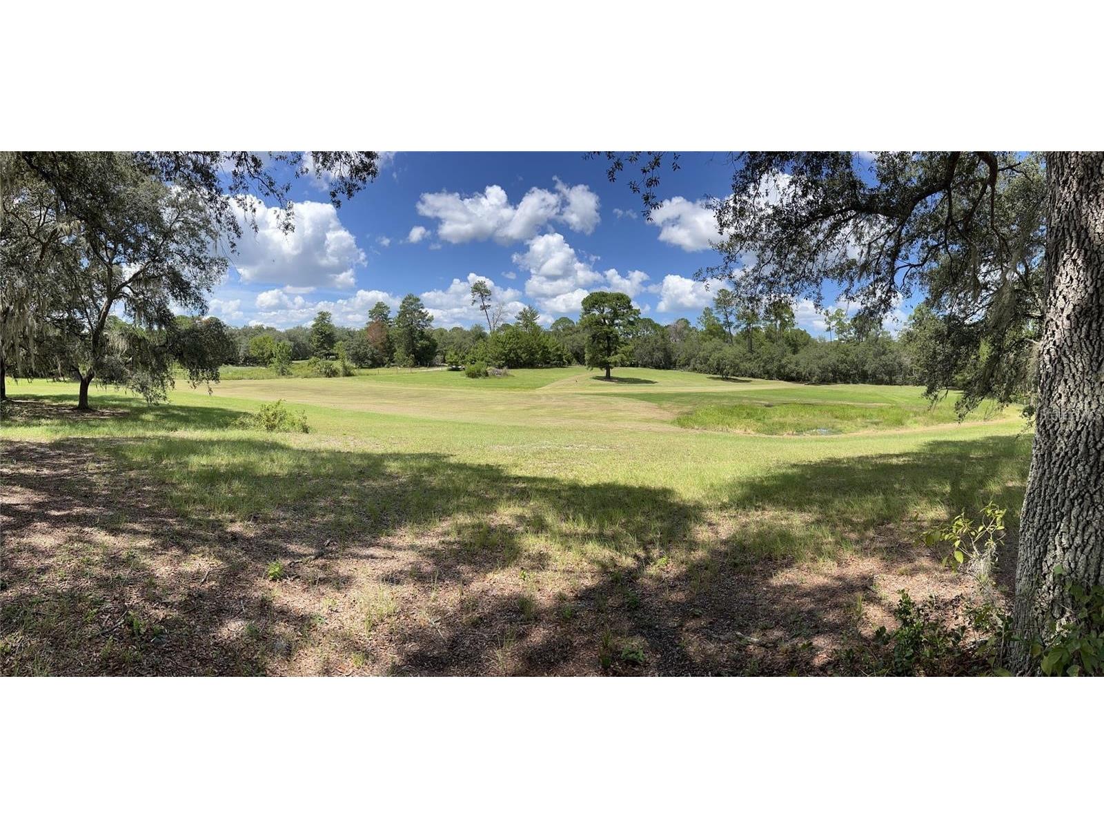 Autumn Mist Road Eustis FL 32736 V4940728 image3