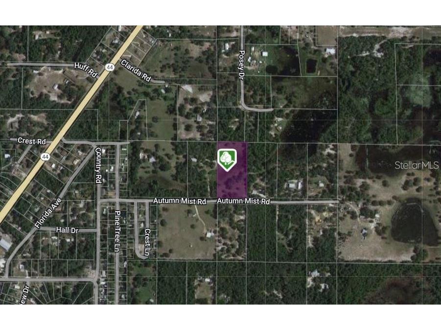 Autumn Mist Road Eustis FL 32736 V4940728 image4