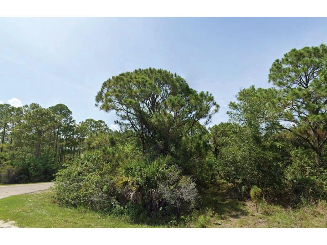 Autumnleaf Terrace North Port FL 34288 O6333701 image1