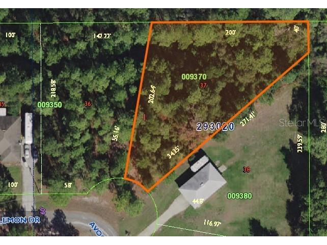 Avacado Drive Lake Wales FL 33898 - LAKE WEOHYAKAPKA K4902235 image1