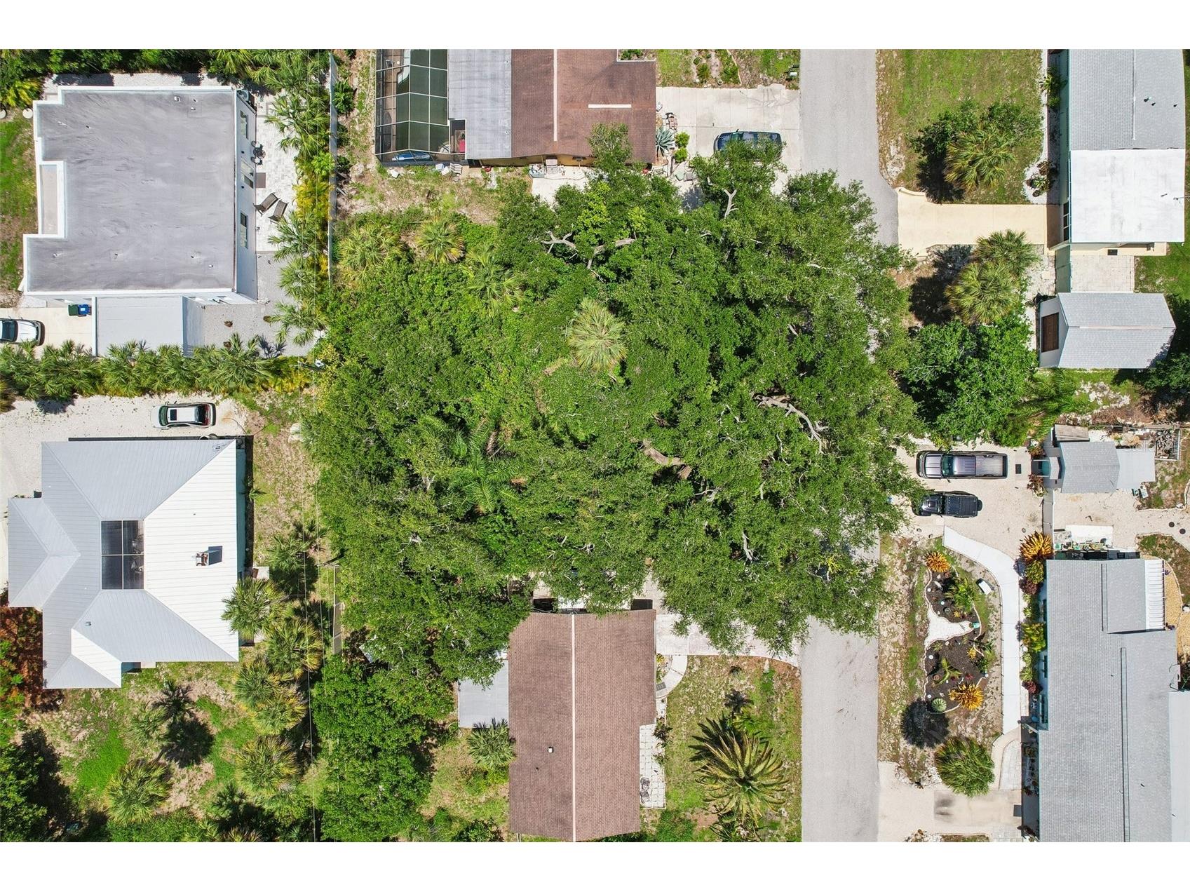 Avalon Road Venice FL 34293 A4695277 image3