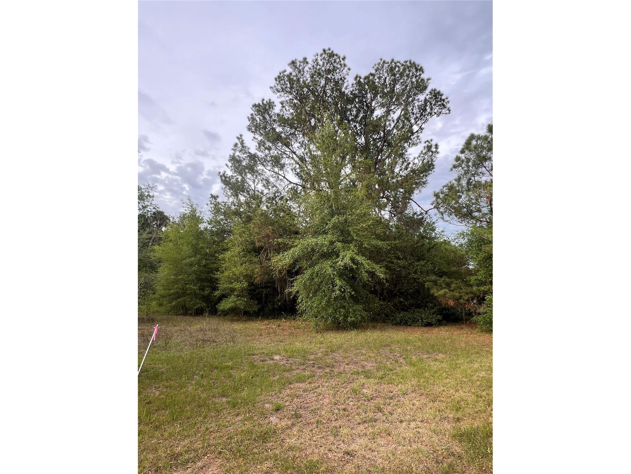 Avenue G Mc Intosh FL 32664 GC539197 image2