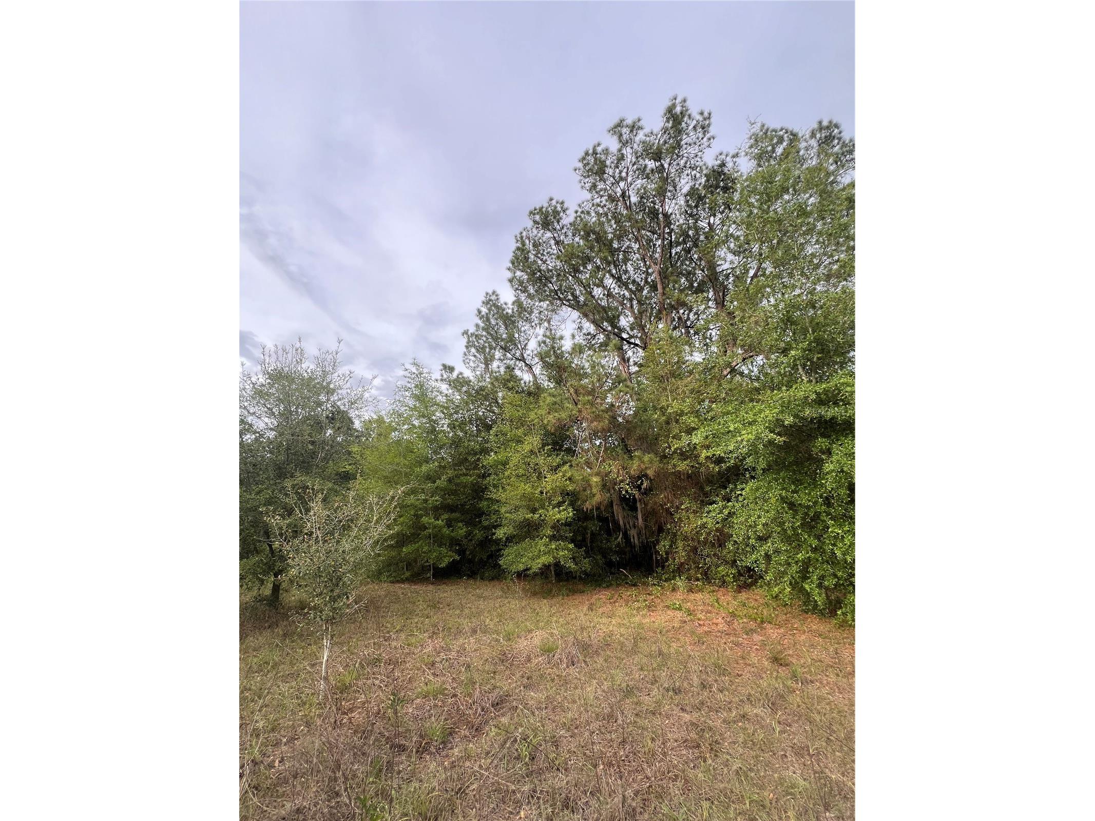 Avenue G Mc Intosh FL 32664 GC539197 image3