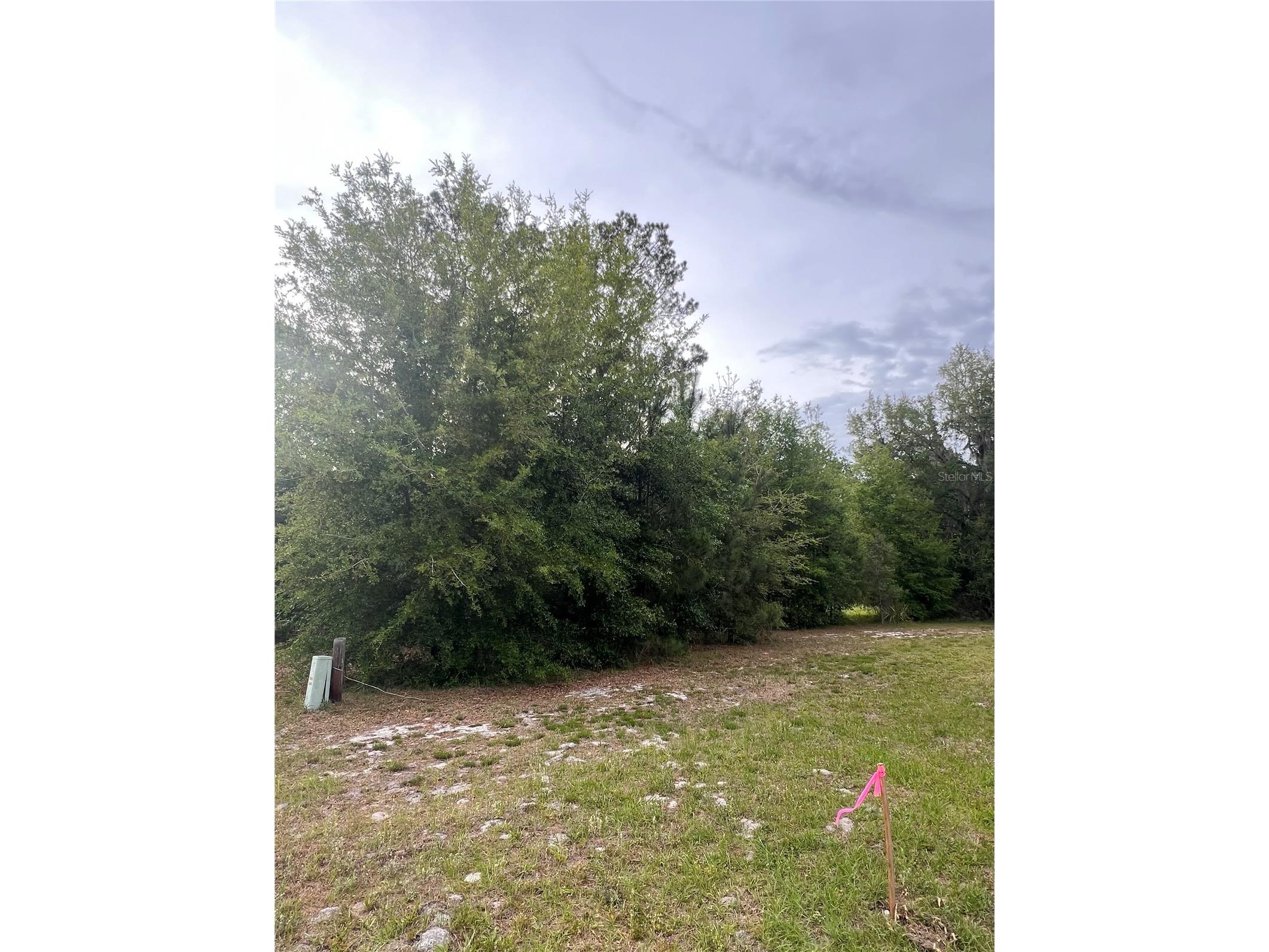 Avenue G Mc Intosh FL 32664 GC539197 image4