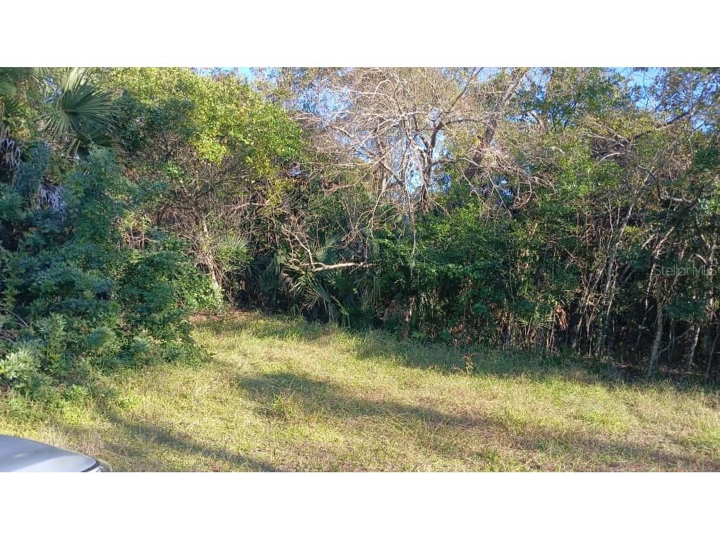 Avenue O Ormond Beach FL 32174 O6385084 image2