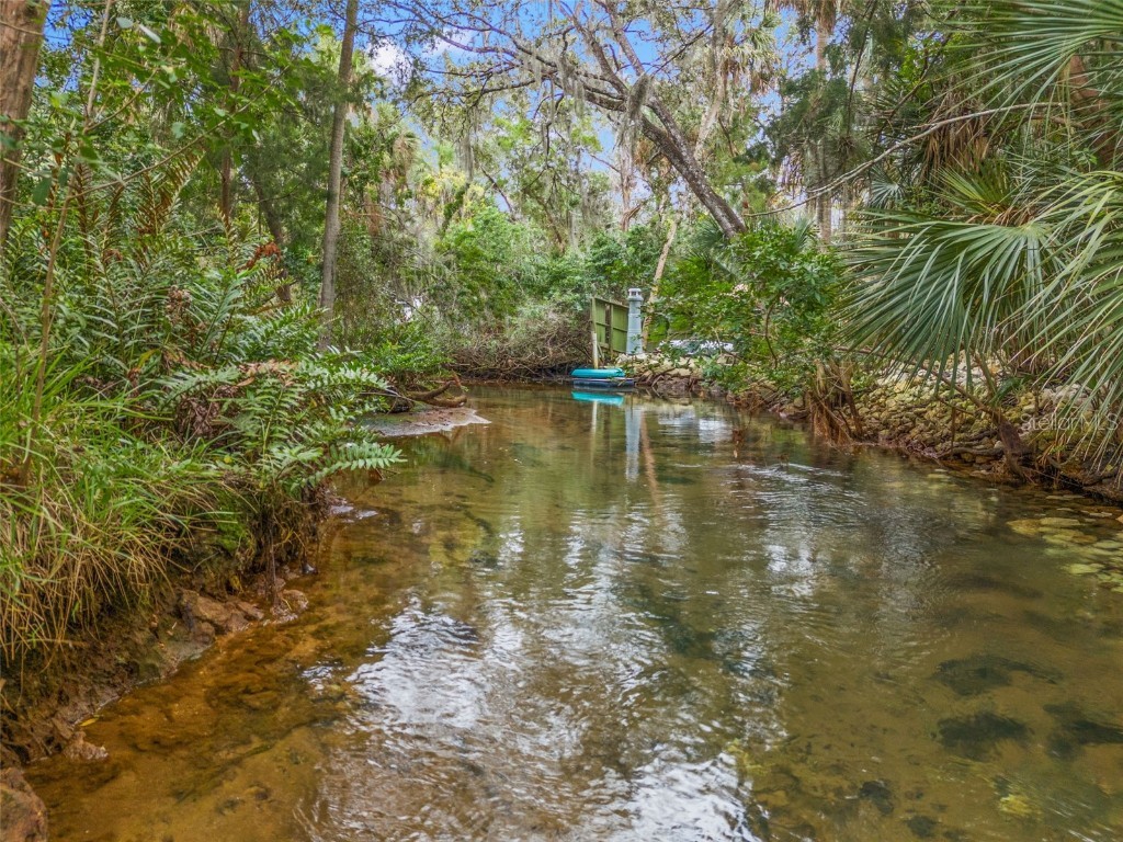 Avenue Of The Palms Weeki Wachee FL 34607 T3485960 image1