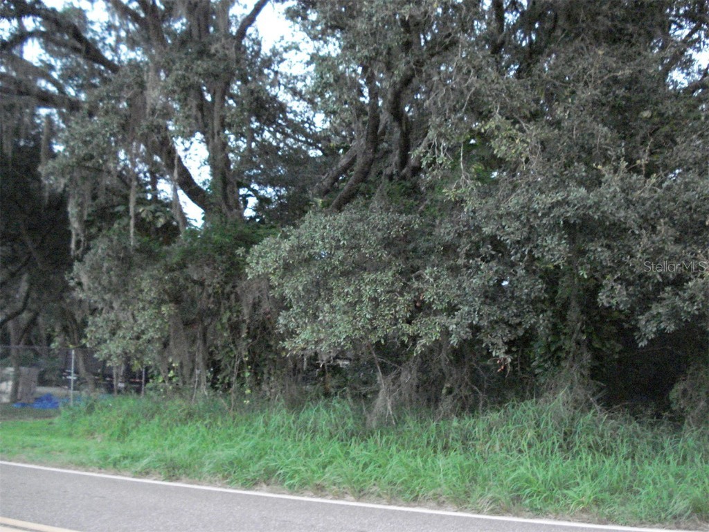 Avon Park Cutoff East Road Frostproof FL 33843 L4925544 image2