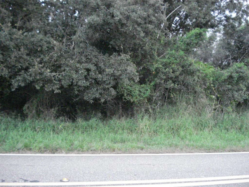 Avon Park Cutoff East Road Frostproof FL 33843 L4925544 image3