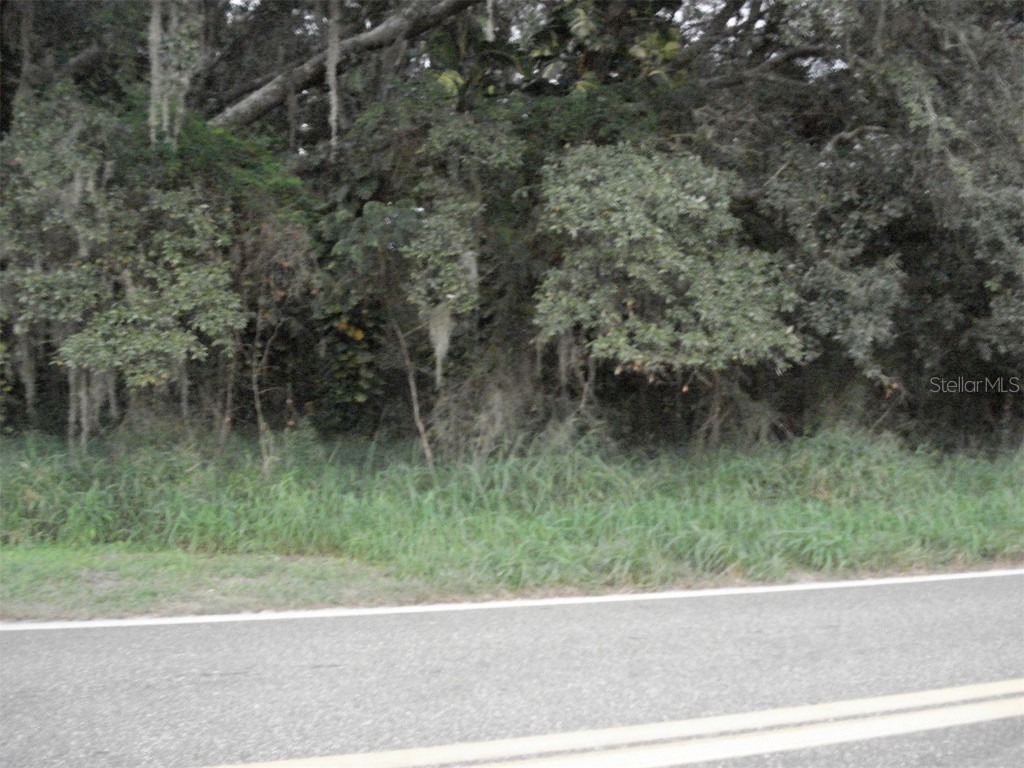 Avon Park Cutoff East Road Frostproof FL 33843 L4925544 image4